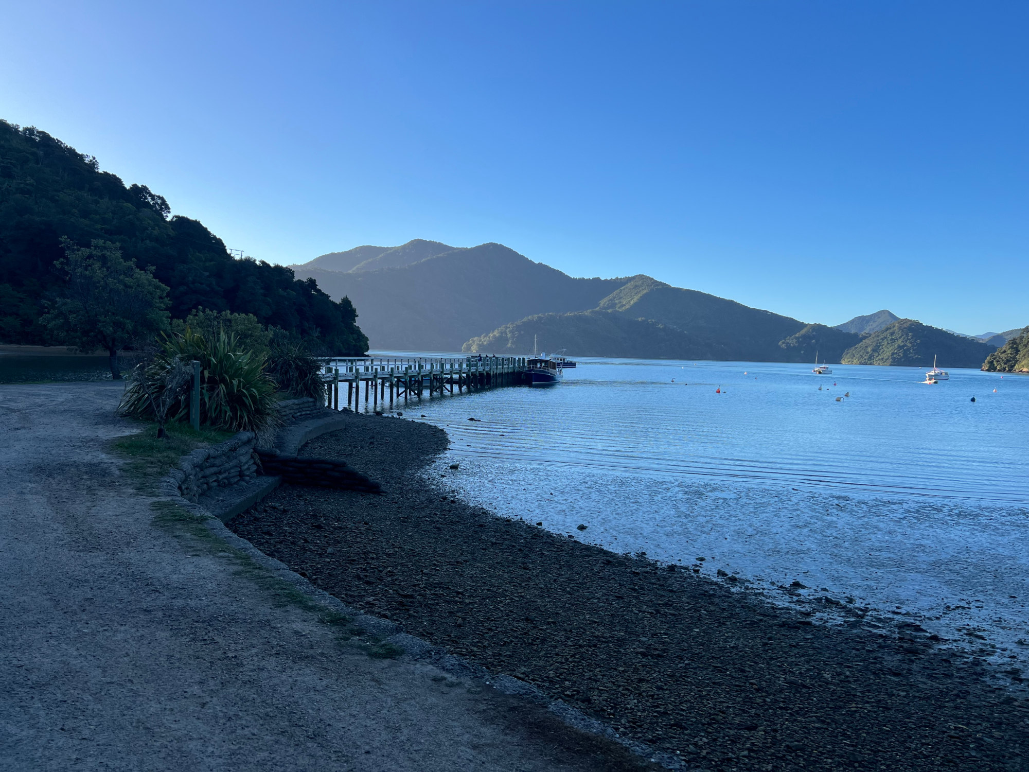 Pier at Ngākuta Bay